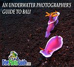 DivePhotoGuide presents Underwater Photographer’s Guide to Bali Photo