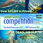 Deadline for Our World Underwater and DEEP 2007 competitions Photo