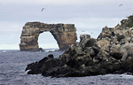 Galápagos added to UNESCO’s list of World Heritage in Danger Photo