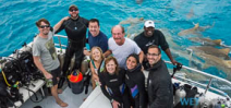 Survey: Shark tourism in the Bahamas Photo