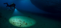Amazing images from the deepest dive ever under Antarctic ice Photo