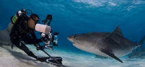 Live coverage of Bahamas Underwater Photo Week Photo