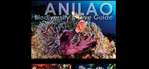 Anilao: Biodiversity and dive guide launched at DRT Show Photo