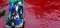 Graphic footage of dolphin killings from Taji Photo