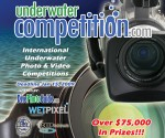 2009 International Underwater Photo & Video Competitions Photo