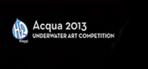 Call for entries: Acqua 2013 Photo