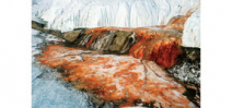 Scientists discover what gives Antarctica’s Blood Falls their signature color Photo