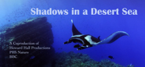 Film: Shadows in a Desert Sea by Howard Hall Photo
