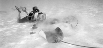 Photographers Shoot 4 x 5 Large Format Underwater Photo