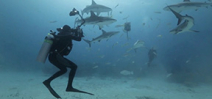 Video: Bahamas Underwater Photo Week by Cristian Dimitrius Photo