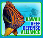 Sign petitions to protect reefs in Hawaii, protest slaughter of whales Photo