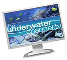 Online underwater show TheUnderwaterChannel.tv 2008 launch Photo