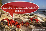 Win a trip to Christmas Island Photo