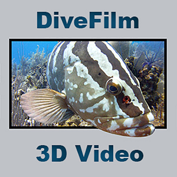 DiveFilm 3D podcasts on Wetpixel