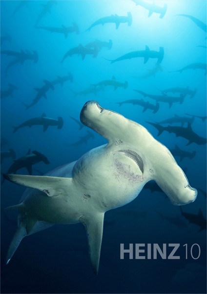 Heinz magazine on Wetpixel