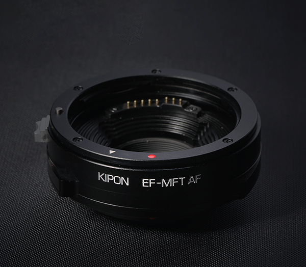 Kipon lens adapter on Wetpixel