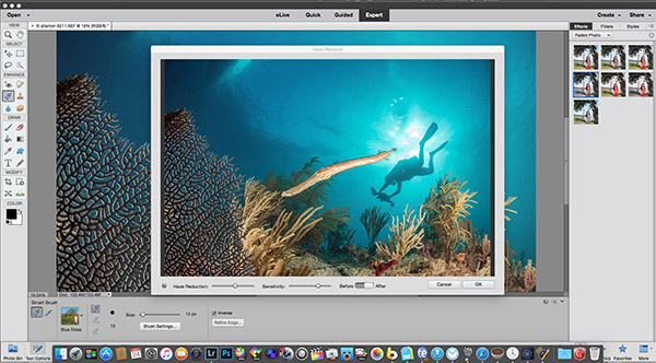 Adobe Photoshop Elements 14 on Wetpixel