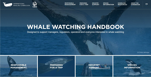 Whale watching on Wetpixel